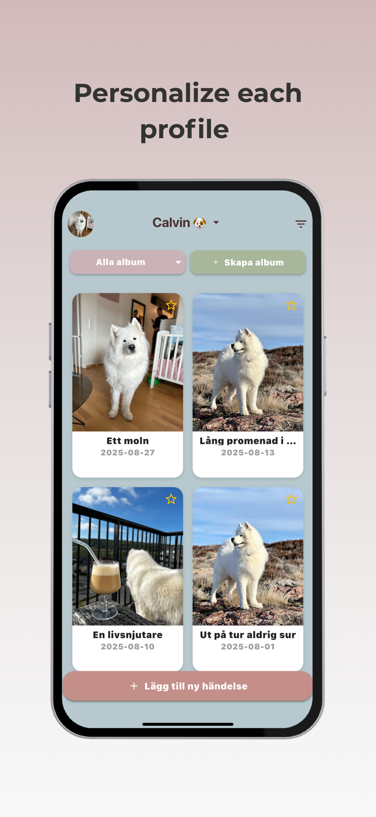 Profile modal
