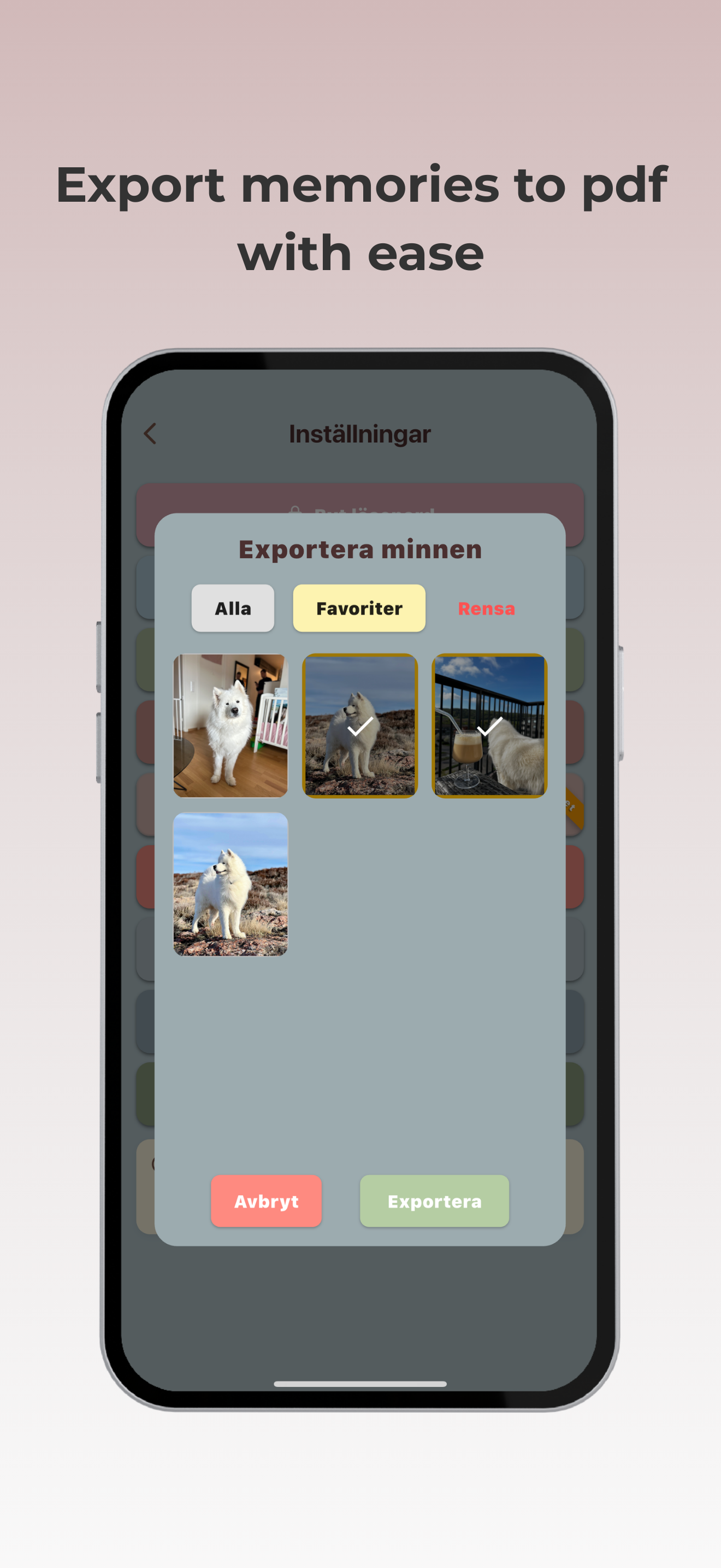 Filter and search